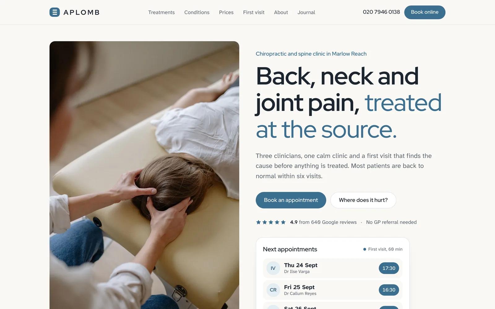 Chiropractor Website Template: the APLOMB demo home page